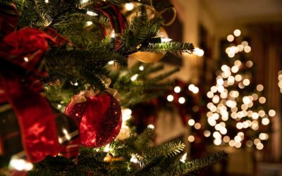 Menù di Natale 2024 e Capodanno 2025
